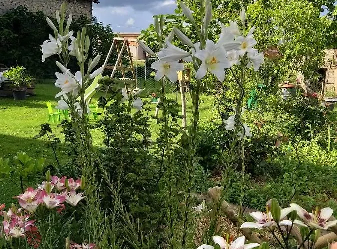 Apartamento Duplex *